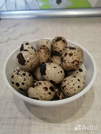 Яйца перепелиные домашние