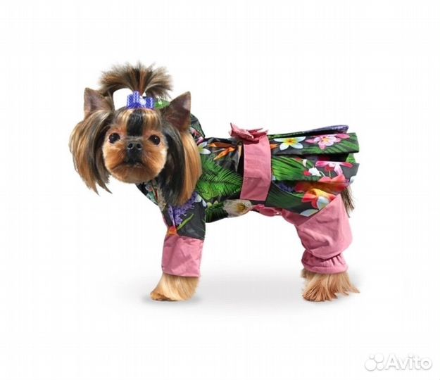 Демисезонный комбинезон для собак