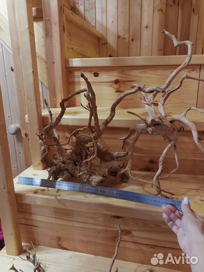 Коряги в аквариум