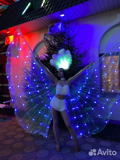 Световое шоу «action»