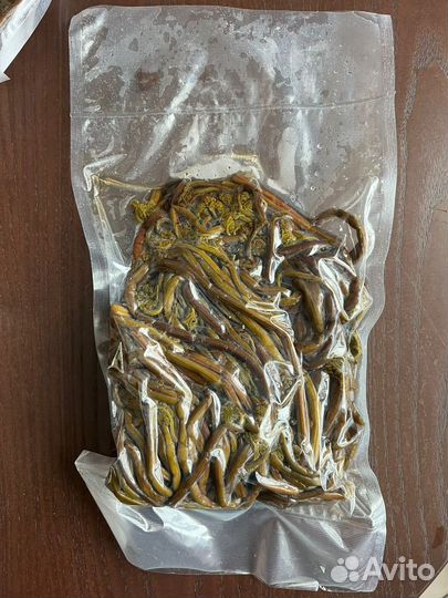 Папоротник орляк соленый