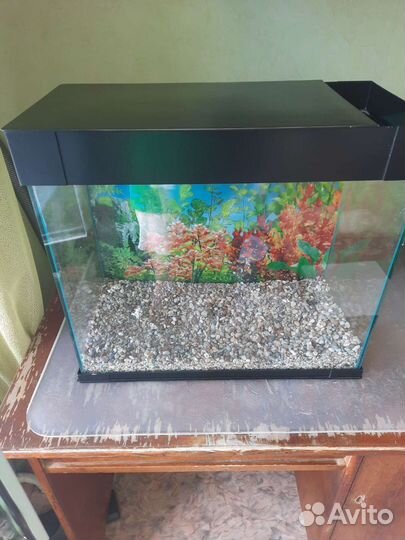 Аквариум