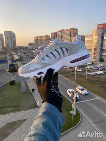 Кроссовки Nike Air Max Tailwind 4