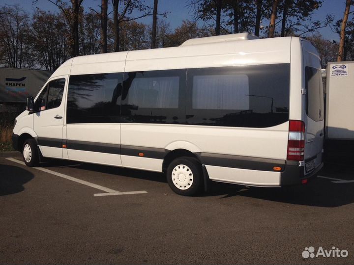 Заказ автобуса на свадьбу на корпоративы