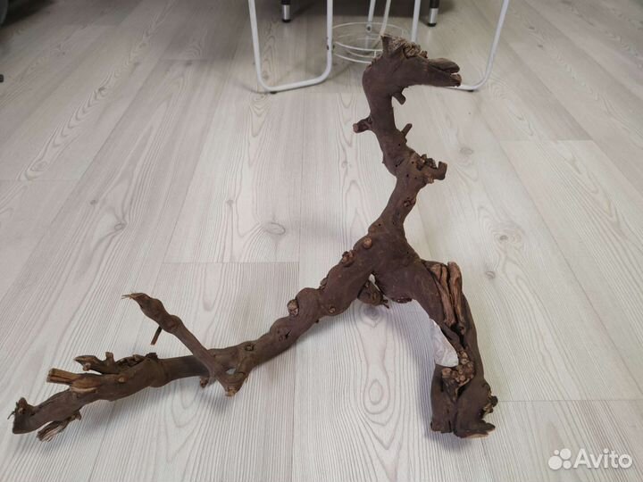 Для аквариума