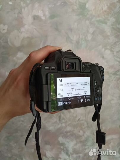 Canon eos 200d kit + 50mm 1.8