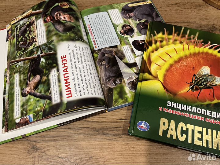 Детская энциклопедия