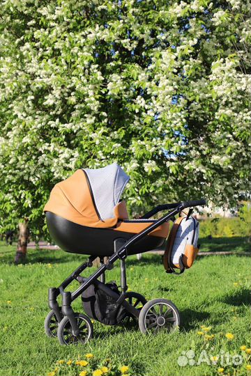 Коляска Anex M-type 2 в 1