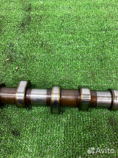 Распредвал Volkswagen Golf хетчбэк 1.6 102 Л.С