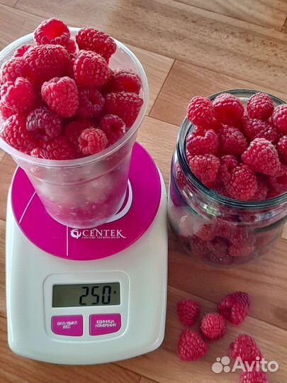 Ягода Малина