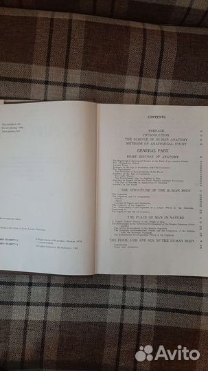 Анатомия человека