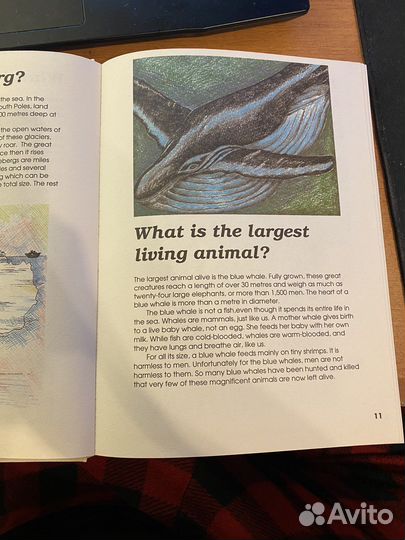 Энциклопедия английская для детей