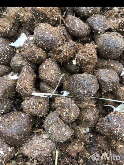 Навоз перегной