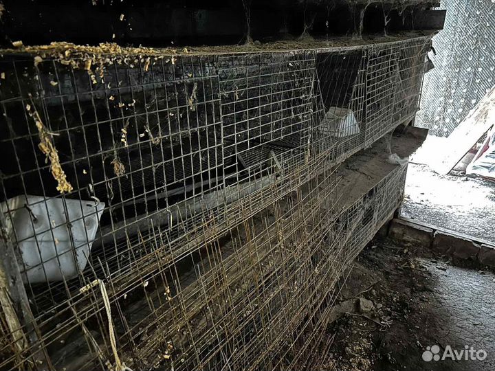 Клетка для кролика