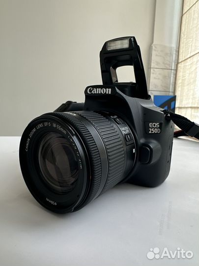 Canon eos 250d