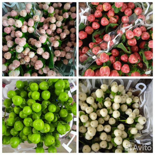 Эустома и другие цветы оптом