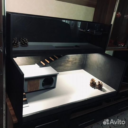 Витрина для морской свинки, ежика