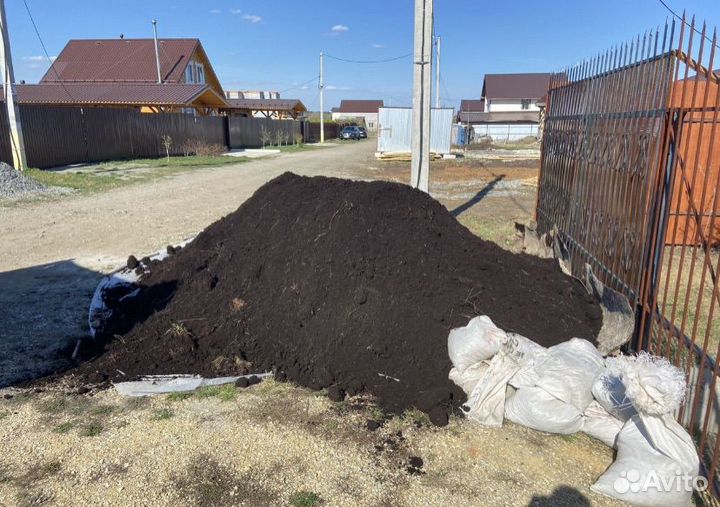 Чернозем насыщенный