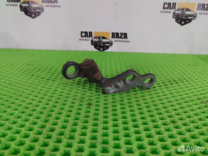 Петля двери задней левой нижняя L