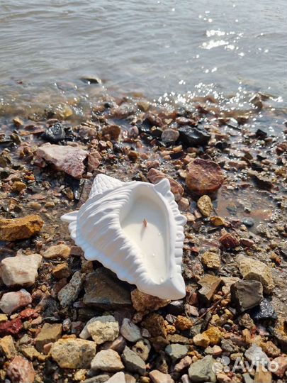Ароматическая свеча в гипсе