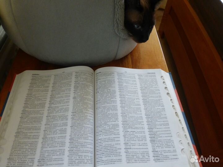 Новый англо-русский словарь Мюллера