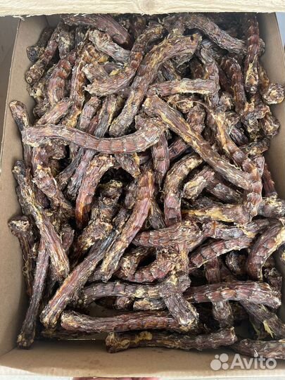 Сухие лакомства для собак