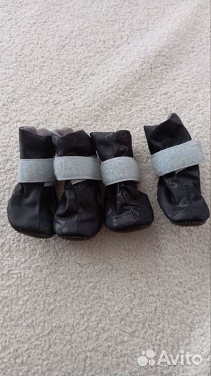 Обувь для собак мелких пород