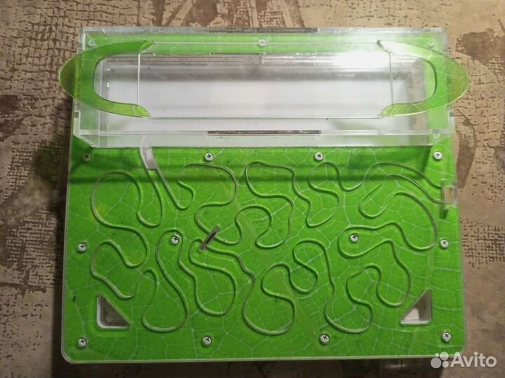 Муравьиная ферма