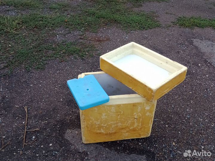 Термоконтейнер с хладоэлементами