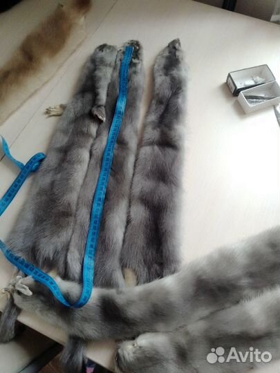 Шкурки норки