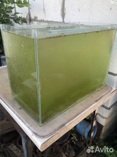 Аквариум 50л