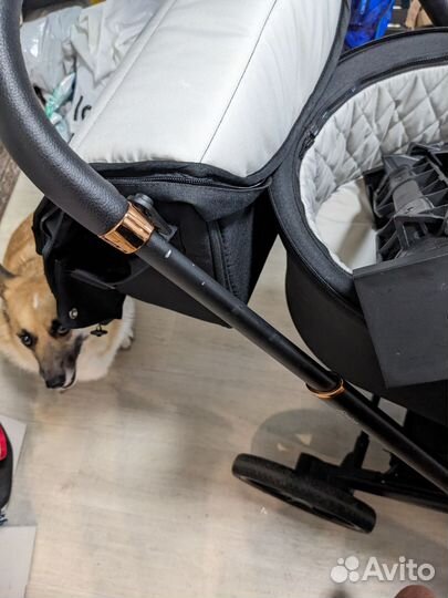 Коляска Carello Epica 2в1