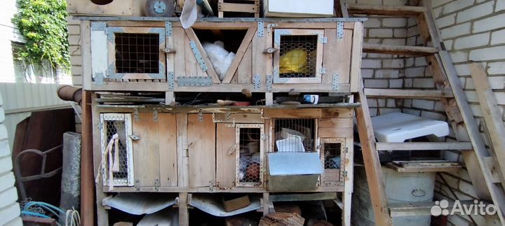 Клетки для кроликов бу