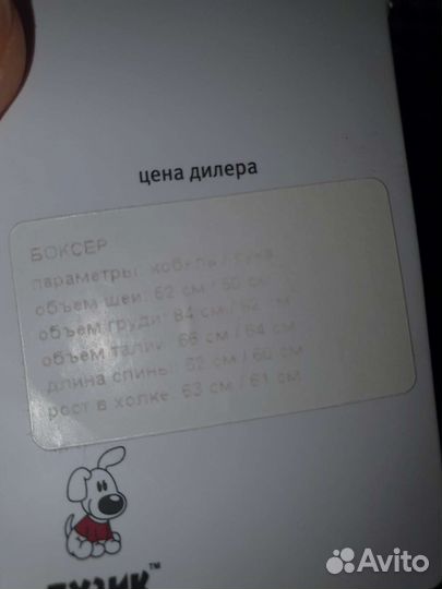 Комбинезон для собаки новый