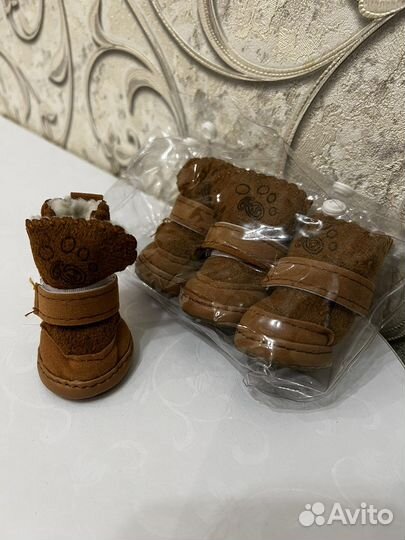 Сапоги для маленькой собаки