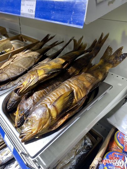 Рыба горячего копчения терпуг