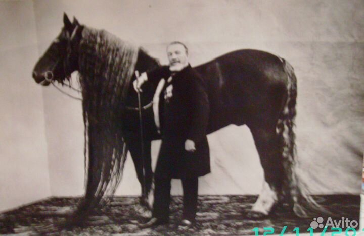 Цирк. Странички истории