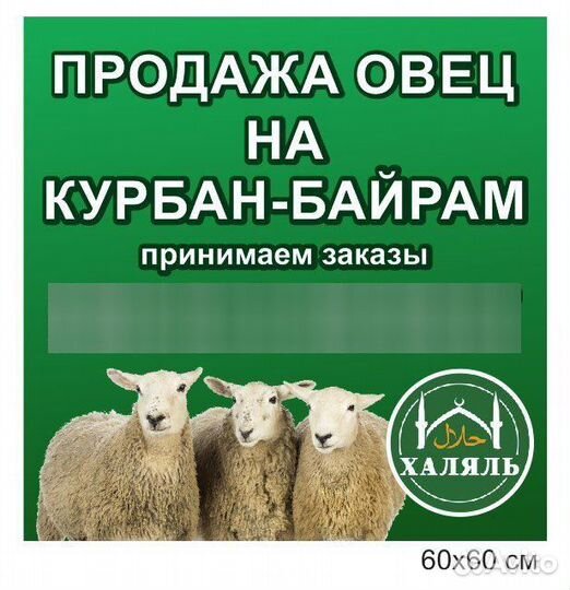 Овцы на Курбан