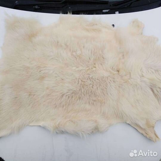 Шкуры барана, козы