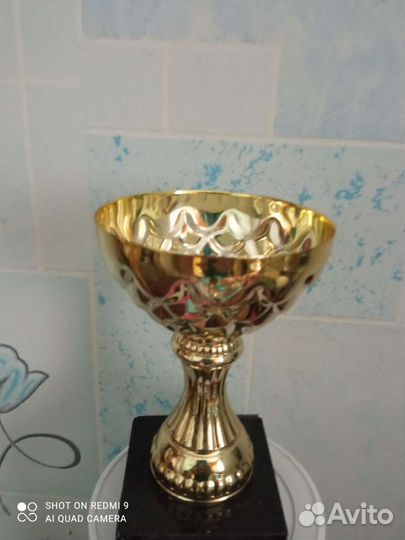 Кубок новый