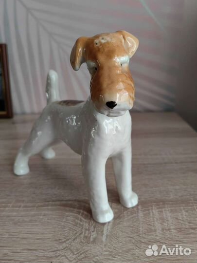 Фарфоровая статуэтка фокстерьера