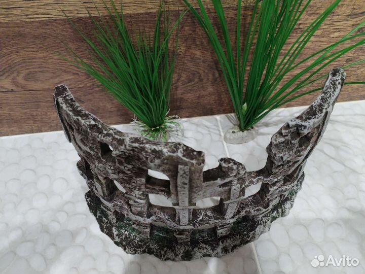 Грот Колизей