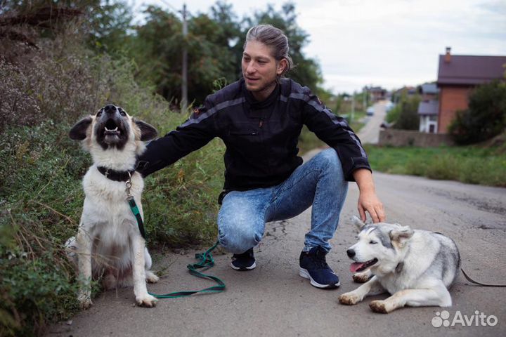 Зоопсихолог (коррекция поведения)