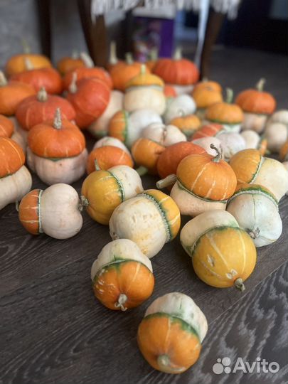 Семена тыква чалмовидная декоративная