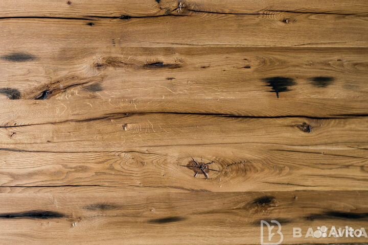 Античный дуб