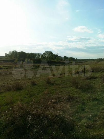 Участок 10 сот. (ИЖС)