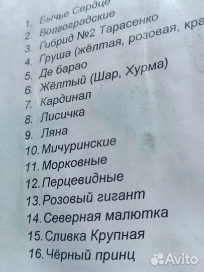 Рассада овощей и цветов