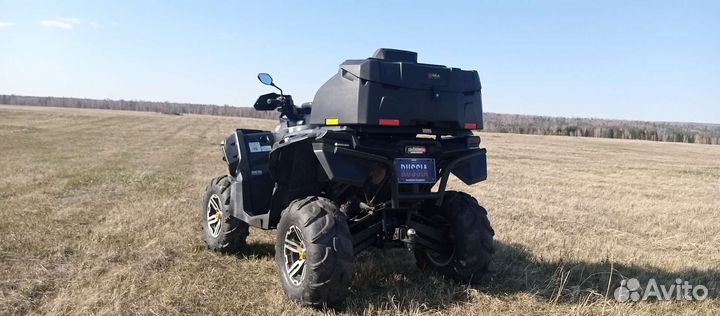 Стелс гепард 800