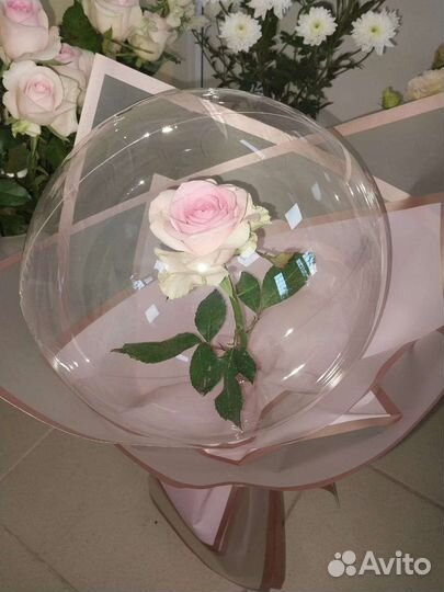 Цветы Букеты Розы