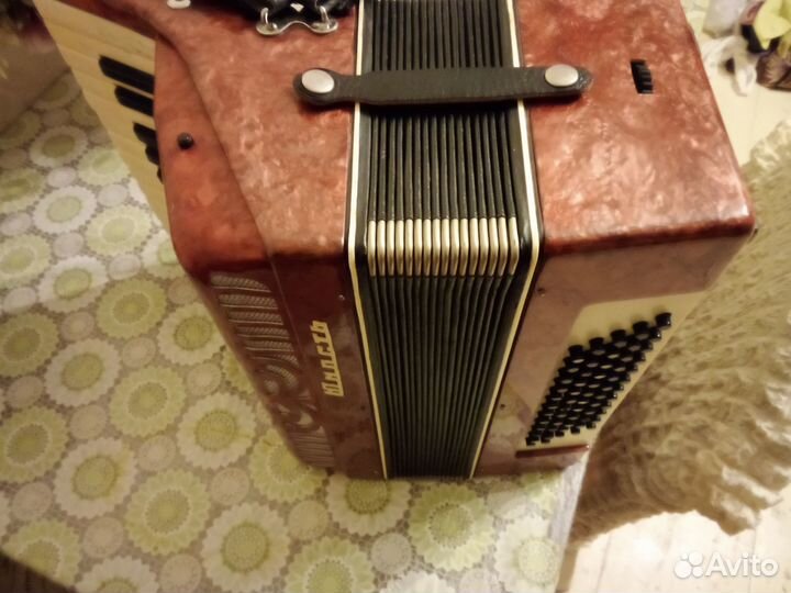 Аккордеон юность 1/2